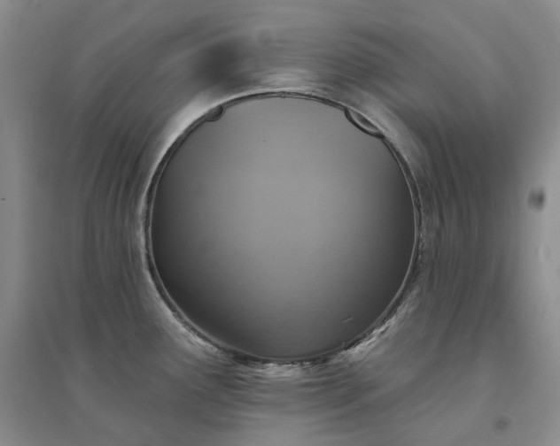 X0000094461291200711151441