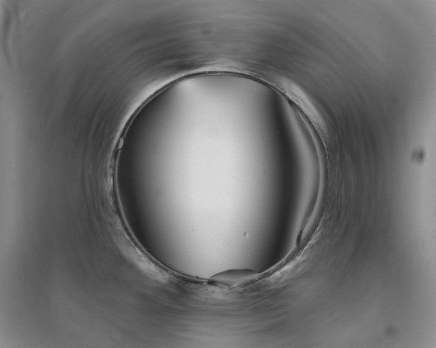 X0000094461292200711151441