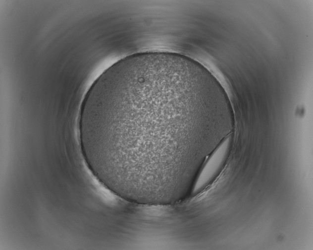 X0000094461293200711151441