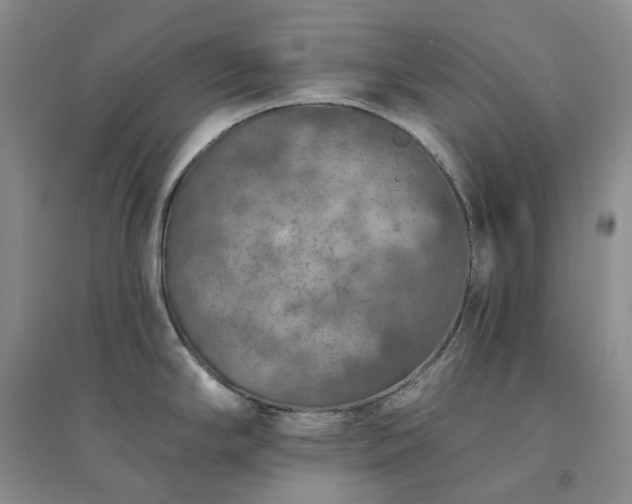 X0000094461294200711151441