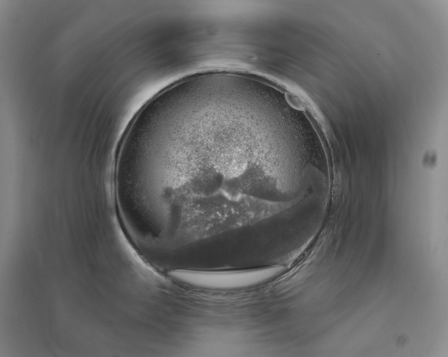 X0000094461295200711151441