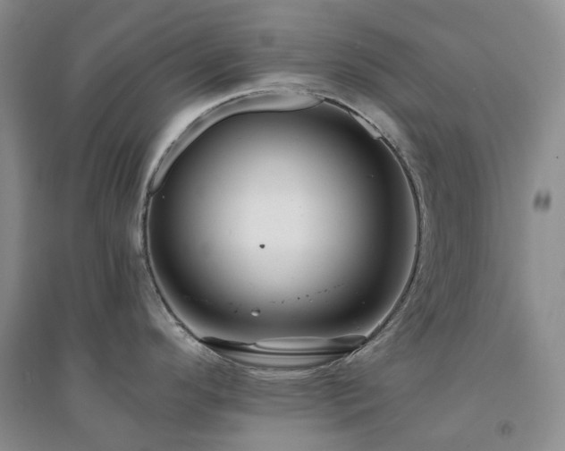 X0000094461296200711151441
