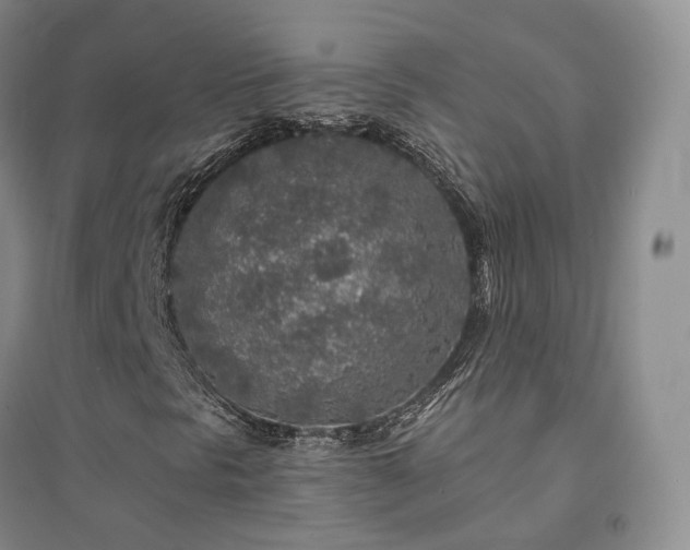 X0000094461297200711151441