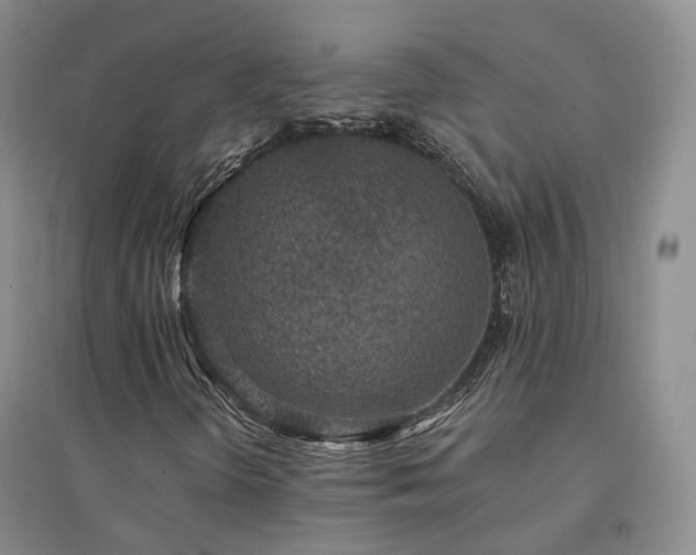 X0000094461298200711151441
