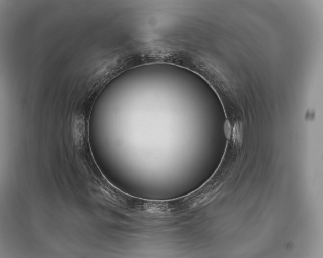 X0000094461299200711151441