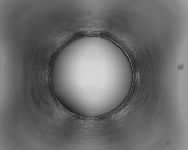 X0000094461300200711151441