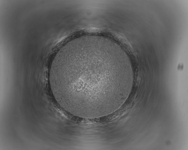 X0000094461301200711151441