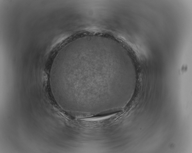 X0000094461302200711151441