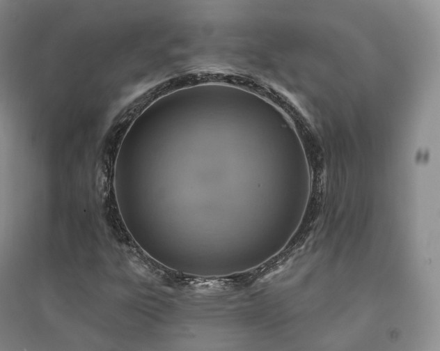 X0000094461303200711151441