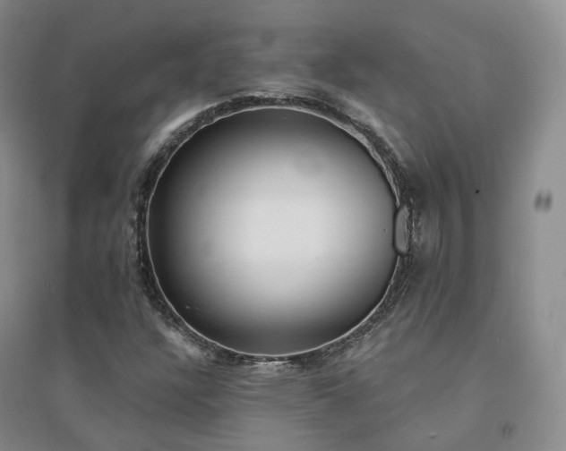 X0000094461304200711151441