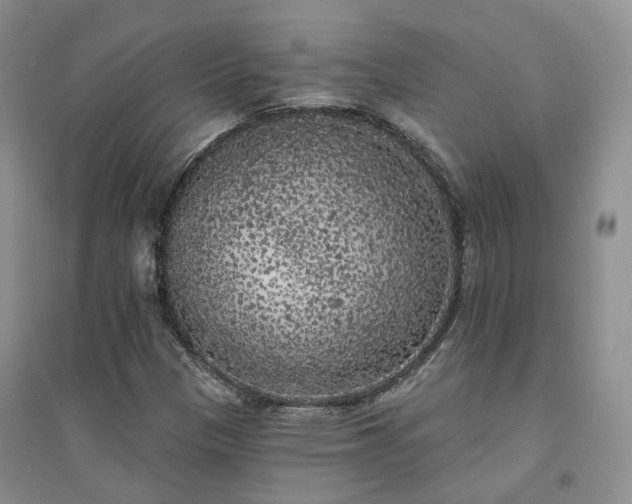 X0000094461305200711151441