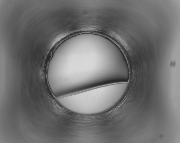 X0000094461308200711151441
