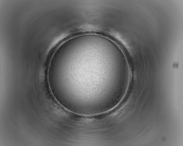X0000094461309200711151441