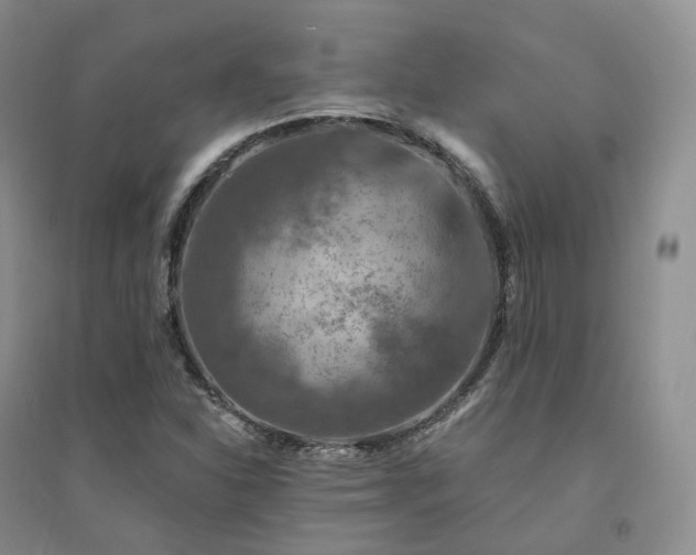 X0000094461310200711151441