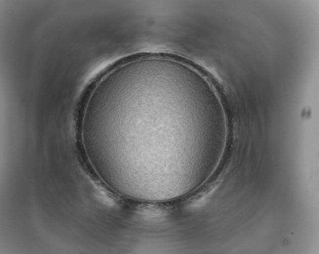 X0000094461311200711151441