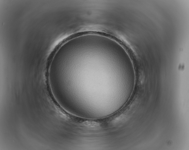 X0000094461312200711151441