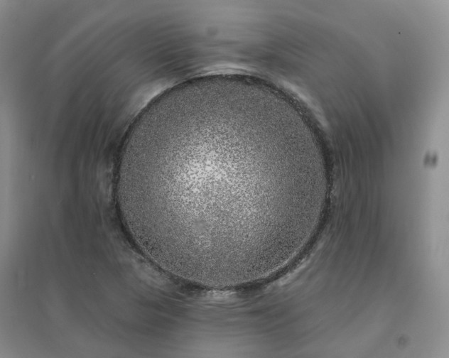X0000094461313200711151441