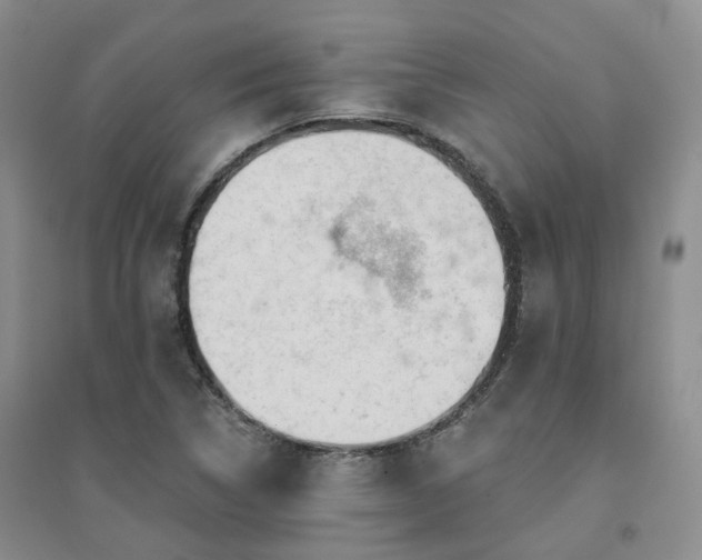 X0000094461314200711151441