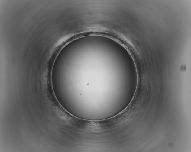 X0000094461315200711151441