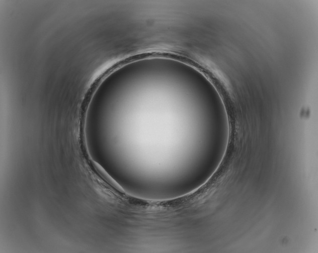 X0000094461316200711151441