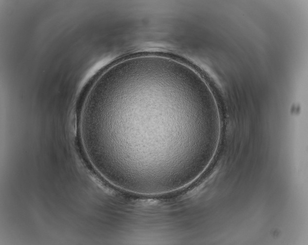 X0000094461317200711151441