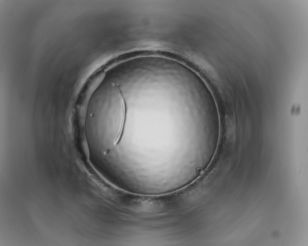 X0000094461318200711151441