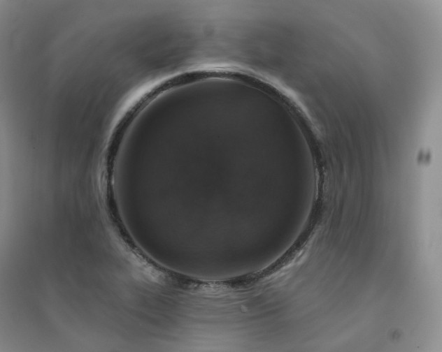 X0000094461319200711151441