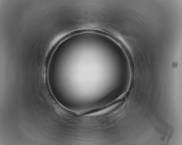 X0000094461320200711151441