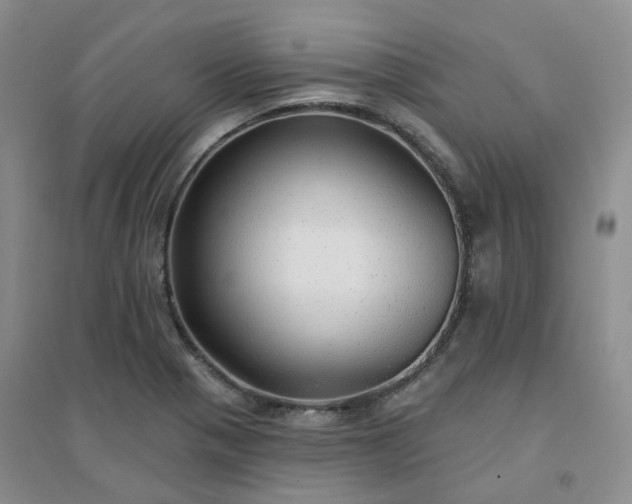 X0000094461321200711151441
