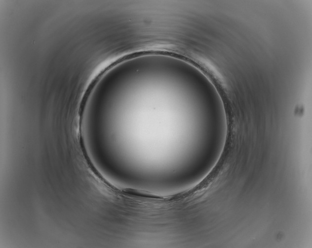 X0000094461324200711151441