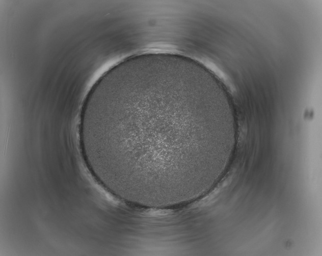 X0000094461325200711151441