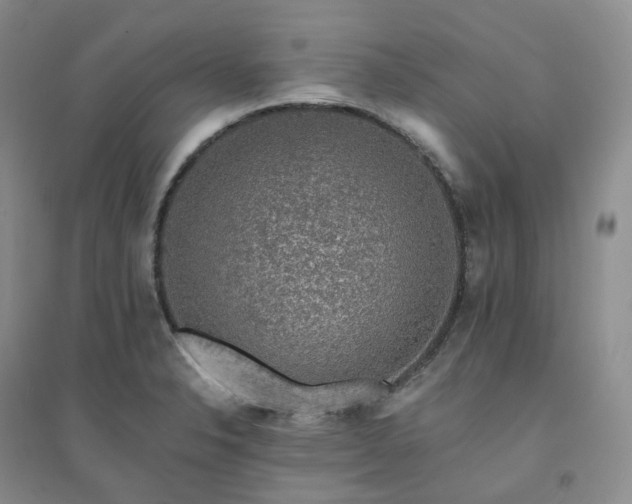 X0000094461326200711151441
