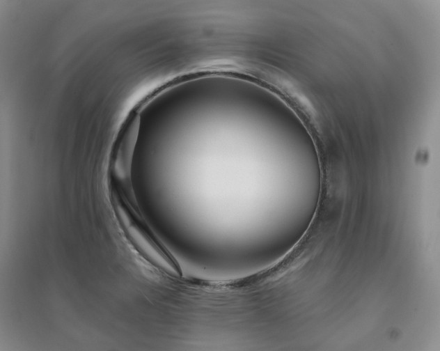 X0000094461328200711151441