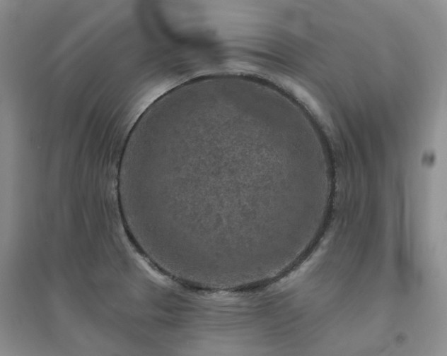 X0000094461329200711151441