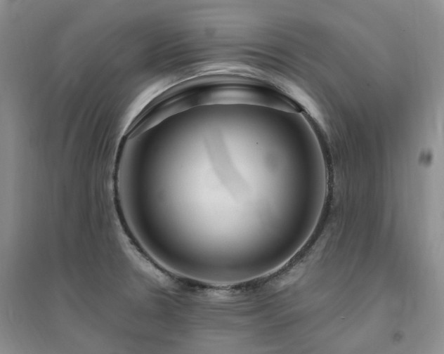 X0000094461330200711151441