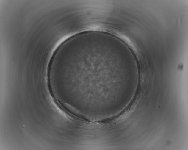 X0000094461331200711151441