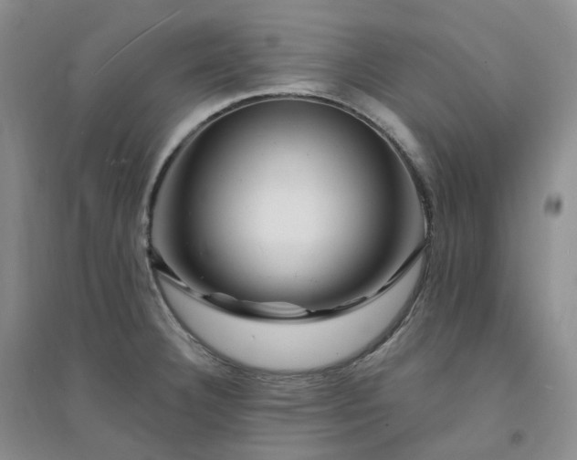 X0000094461332200711151441