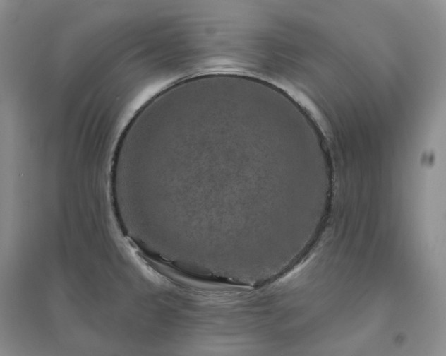 X0000094461333200711151441