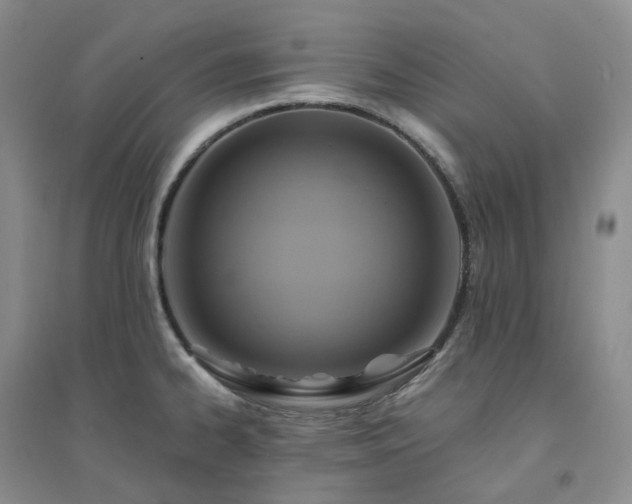 X0000094461334200711151441