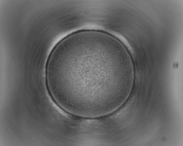 X0000094461335200711151441