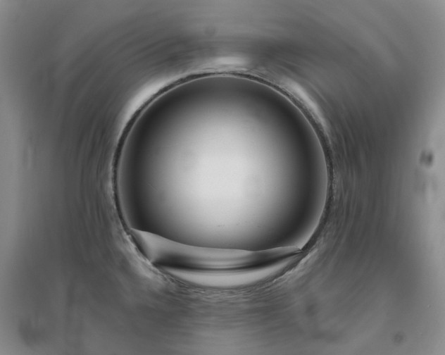 X0000094461336200711151441