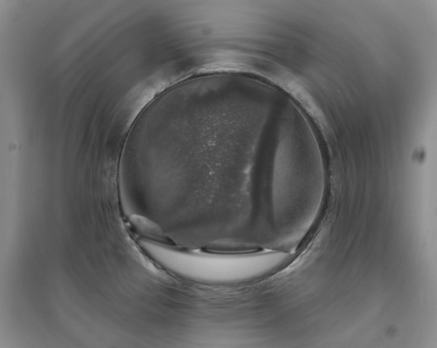 X0000094461337200711151441