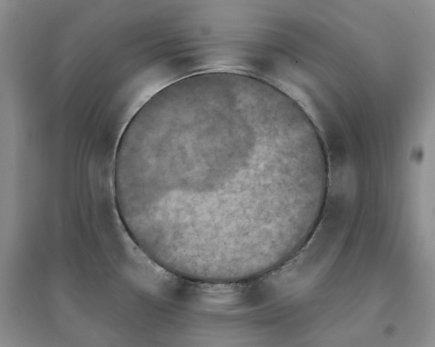 X0000094461338200711151441