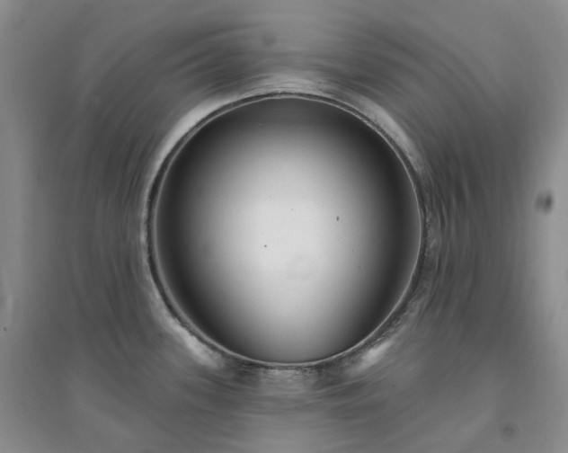 X0000094461339200711151441