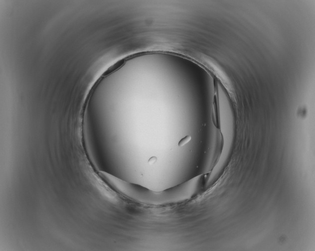 X0000094461340200711151441