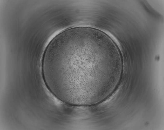 X0000094461341200711151441