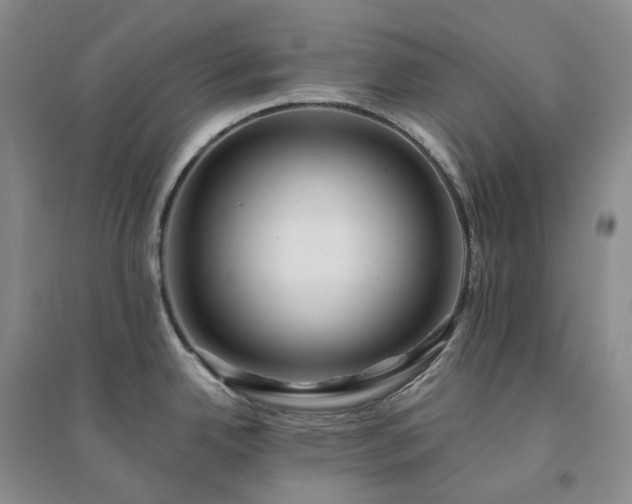 X0000094461342200711151441