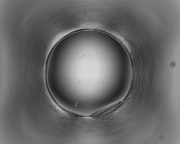 X0000094461343200711151441