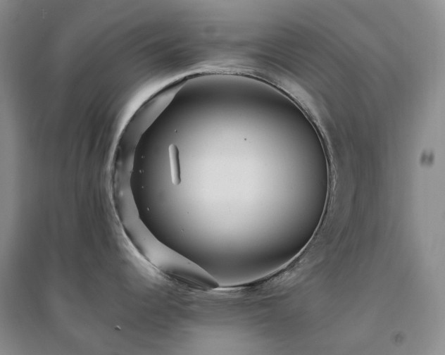 X0000094461344200711151441