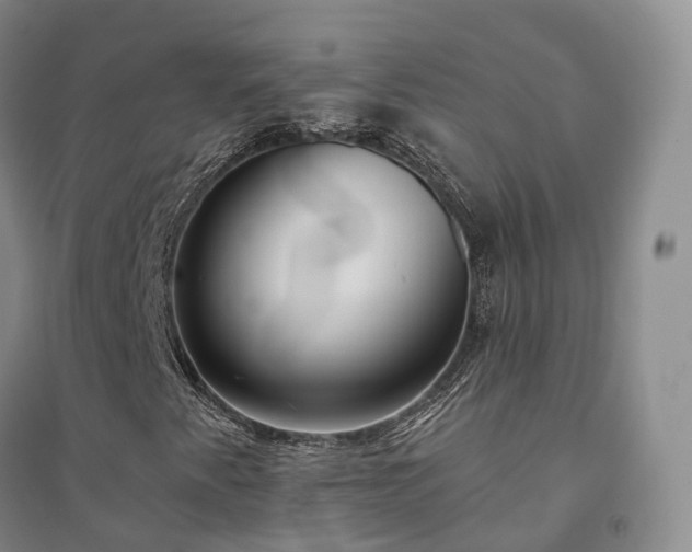 X0000094461345200711151441